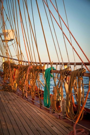 b3a26256-9327-4849-b09e-59ad352bf0b0