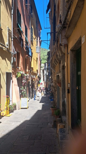 ba93ecb4-1af5-4c09-a310-78366d883c11