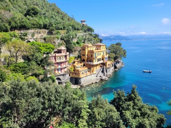 85dd2d65-dfdf-48d5-ac8c-634dab80dd1b