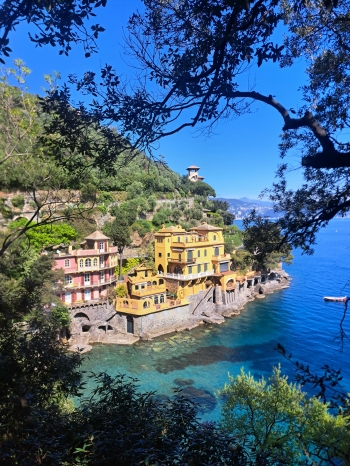 5454e011-c1a4-4d75-9c1e-655073c61768