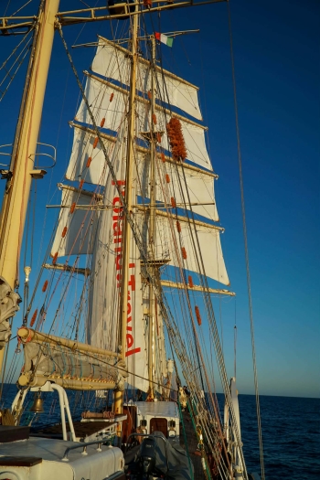 b8d33782-ef6e-4e03-9c74-5b486d1bc298