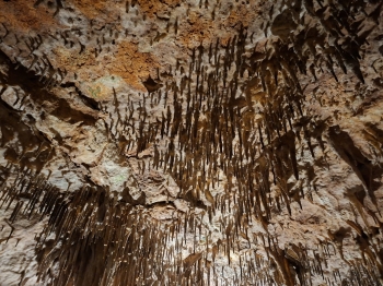IMG-20260512-WA0019